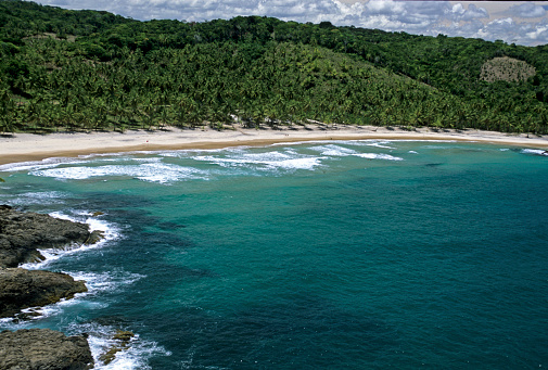 Wide open beaches in a tropical paradise of Costa Rica with palm trees and blue water