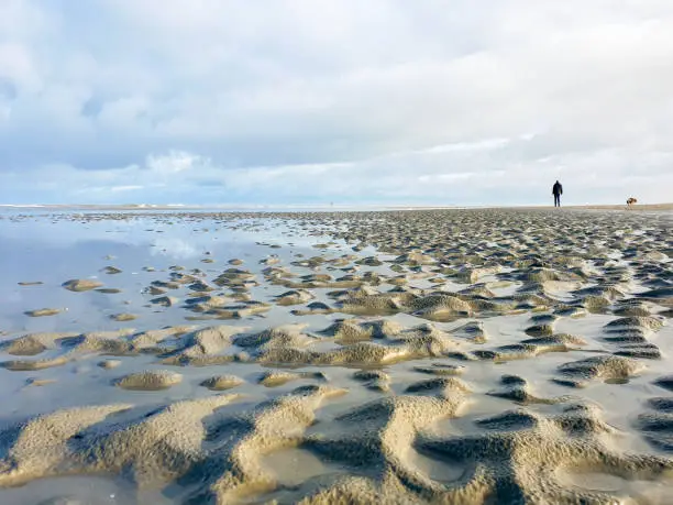 Ameland, the Netherlands - January 8, 2021: a man and his dog are walking on the beach, in the foreground the ripples in the sand of the surf.