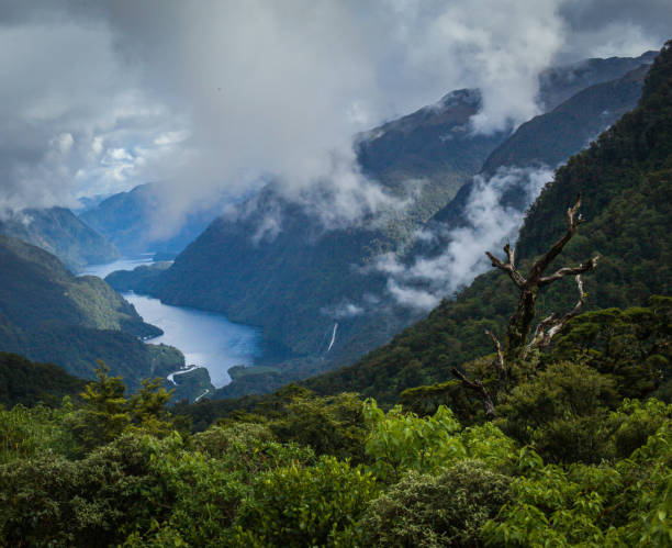 istock Doubtful Sound scenic overlook 1307415834