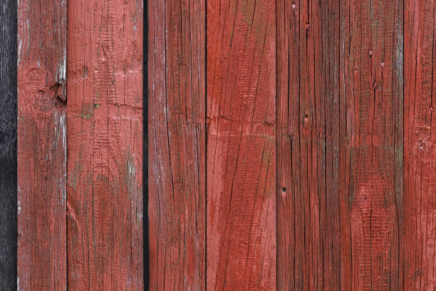 istock A Wood Boarding for using as background, wallpaper 1307416501