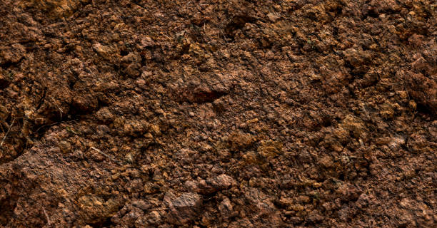 istock Rock texture background. The rough mountain. 1307418600