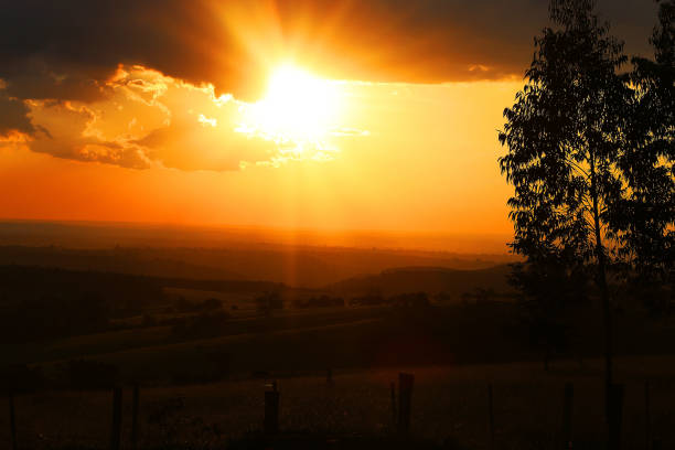istock Sunset in the Countryside 1307420106