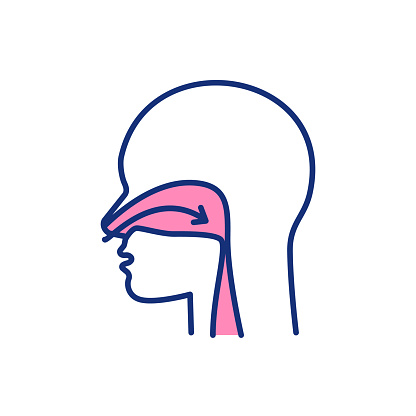 Nose breathing RGB color icon. Sleep apnea. Releasing nitric oxide. Taking deep breaths. Widening blood vessels. Engaging lower lungs. Abnormal breathing during sleep. Isolated vector illustration