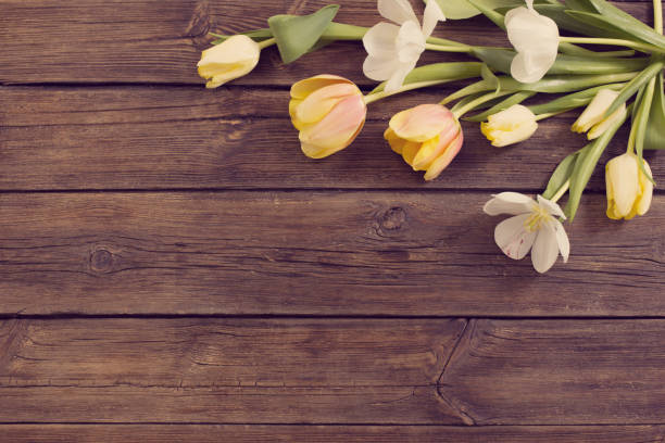 istock beautiful tulips on old dark wooden background 1307424224