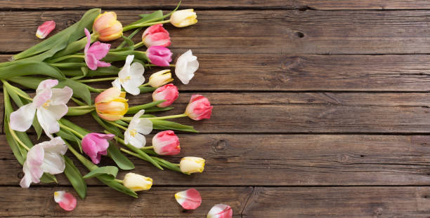 istock beautiful tulips on old dark wooden background 1307424247