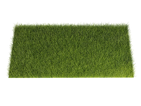 Grass isolated on white background. 3d rendering illustration.
