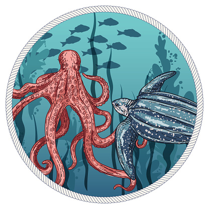 Underwater ocean scene with ocean life. Can be released form the round clipping mask. Rope is on it’s own layer. There is no white background.