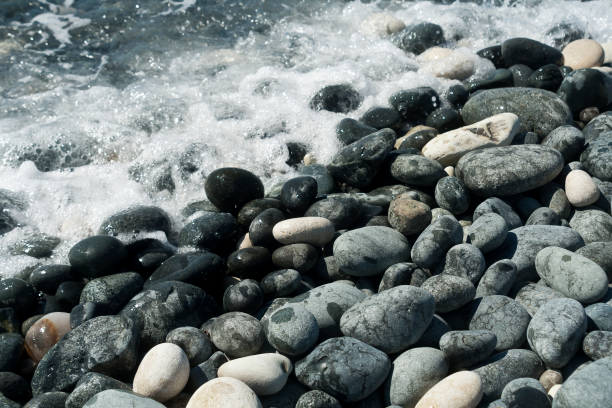 istock Wet and dry stones on the beach 1307431347