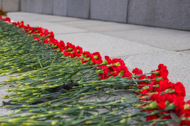 Eternal fire and flowers in memory of victims in the world war on victory day on 9 may flores rojas en memoria de las víctimas en la guerra mundial el día de la victoria el 9 de mayo, tumba de soldado desconocido, monumento a los soldados caídos.día de la victoria, guerras sangrientas.claveles rojos, gran guerra patriótica.