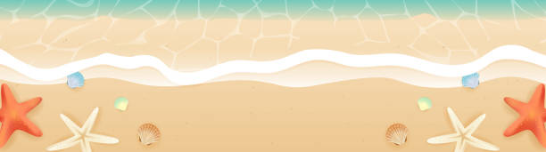 sommer strand banner vektor-illustration. schöne meereswelle am sandstrand mit muscheln - starfish wave stock-grafiken, -clipart, -cartoons und -symbole