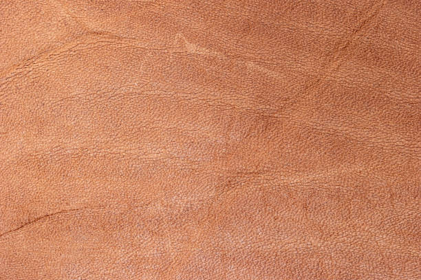 istock Leather brown background, leather material texture photo. 1307437024
