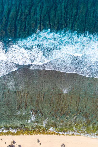 istock Big ocean waves hitting a coral reef. View from above. 1307440553