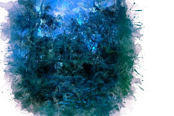 ilustrações de stock, clip art, desenhos animados e ícones de fabulous blue flower with small lights in the middle of a wild forest - rainforest tropical rainforest forest moonlight