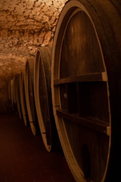 istock Wooden barrels in a dark wine cellar with warm light 1307442708