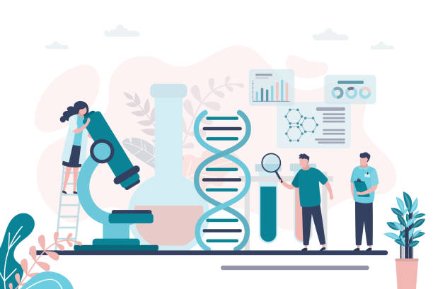 Team of pharmacists conducts drug research. Male character with magnifying glass examines dna Team of pharmacists conducts drug research. Male character with magnifying glass examines dna. Group of scientists working in medical laboratory. Medicine, pharmaceutics concept. Vector illustration molecular biology cartoon stock illustrations