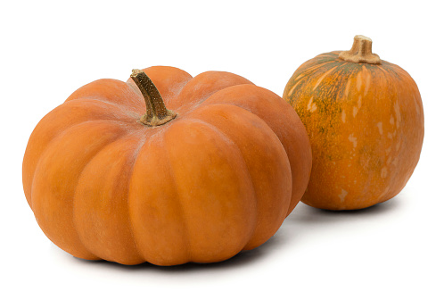 Close-up of a large ripe pumpkin isolated on a white background. Isolated pumpkin fruit. Autumn season. Halloween decor.