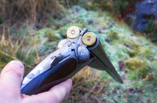 Close-up of a man's hand holding a traditional 12 bore (or 12 gauge) side-by-side shotgun, loaded with cartridges.