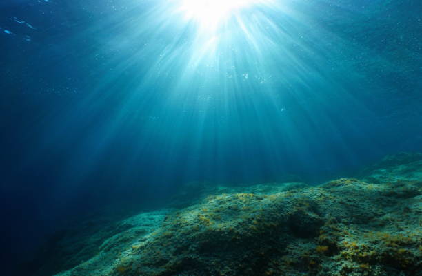 natürliches sonnenlicht und felsiges meeresboden unterwassermeer - unterwasseraufnahme stock-fotos und bilder