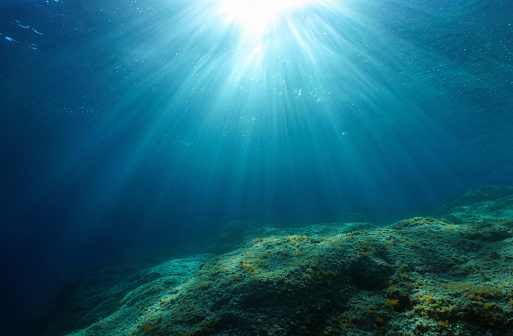 Luz natural y mar bajo el agua rocoso photo