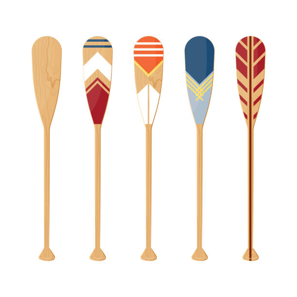 ilustrações de stock, clip art, desenhos animados e ícones de canoe oars set in flat style, vector - oar