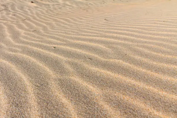beautiful golden sand ripple at the beach. sand dune. patterns on golden sands. sand ripple background. beach sand taken in Sardinia Italy.