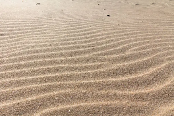 beautiful golden sand ripple at the beach. sand dune. patterns on golden sands. sand ripple background. beach sand taken in Sardinia Italy.