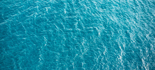 istock Blue turquoise sea water background. Aerial view 1307463381