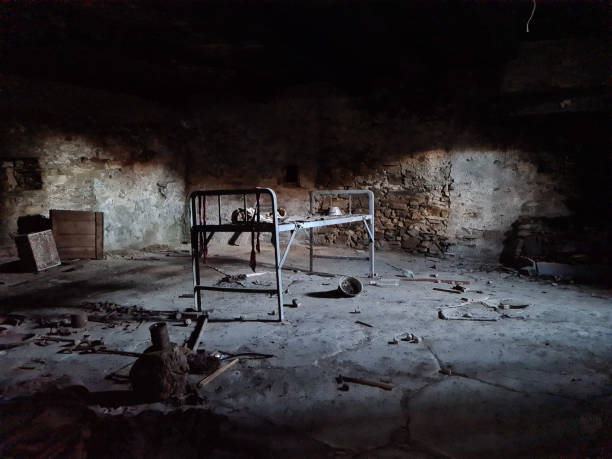 istock abandoned bed of a bygone time 1307465321