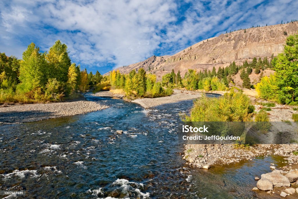 Fall Colors on the Naches River The Naches River flows from the Cascade Range near Chinook Pass and enters the Yakima River in the town of Yakima, Washington State, USA.  In the fall, the banks of the river are lined with colorful trees. Washington State Stock Photo