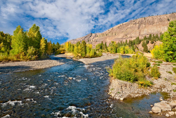 Fall Colors on the Naches River The Naches River flows from the Cascade Range near Chinook Pass and enters the Yakima River in the town of Yakima, Washington State, USA.  In the fall, the banks of the river are lined with colorful trees. jeff goulden mountain stock pictures, royalty-free photos & images