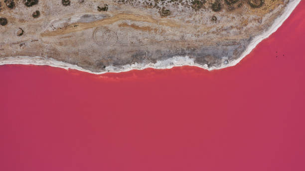 Aerial drone top down photo of a natural pink lake and coast Genichesk, Ukraine. Lake naturally turns pink due to salts and small crustacean Artemia in the water. This miracle is rare. Aerial drone top down photo of a natural pink lake and coast Genichesk, Ukraine. Lake naturally turns pink due to salts and small crustacean Artemia in the water. This miracle is rare odessa ukraine stock pictures, royalty-free photos & images