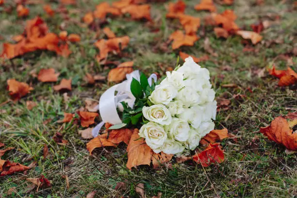 Photo of Bride's bouquet on the yellow leaves