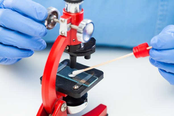 istock Lab technician or medical scientist inspecting collected patient swab sample specimen under microscope 1307475083