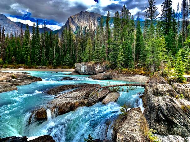 istock At national park 1307476104