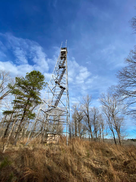istock Looking up at fire lookout tower 1307476128