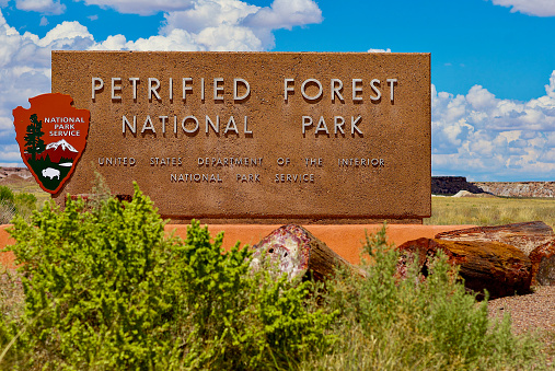 Petrified Forest, Arizona / USA - July 26, 2020: Sign at the South Entrance to Petrified Forest National Park with petrified wood and bushes in the foreground.