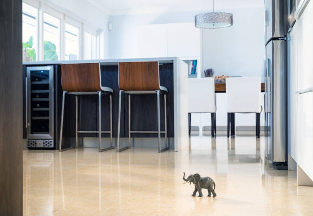 방 컨셉의 코끼리 - small domestic kitchen apartment rental 뉴스 사진 이미지