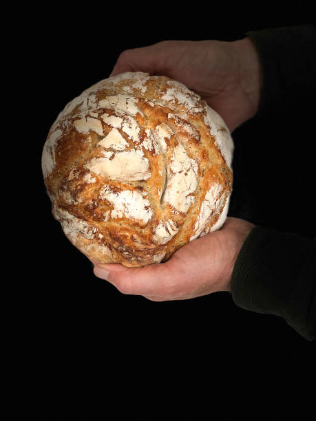 istock Man's Hands Holding Fresh Loaf Homemade Bread 1307480811