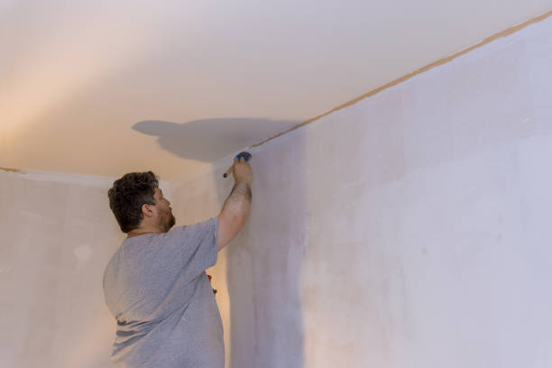 istock Home renovation applying paint on wall using brush painter working indoors 1307481522