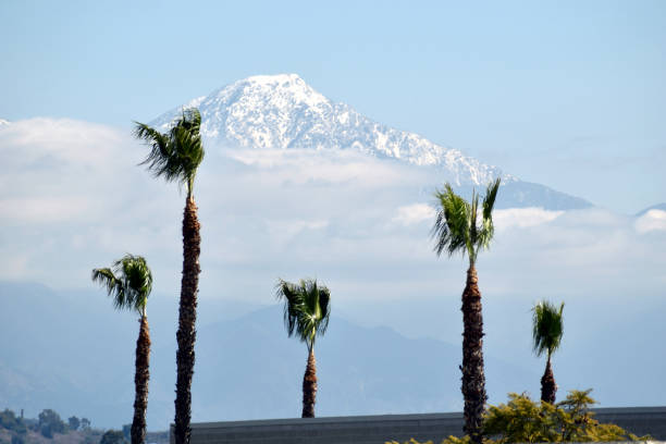 istock An Average Winter Day in California 1307482085
