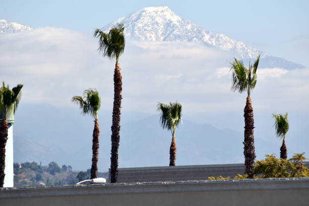 istock An Average Winter Day in SoCal 1307482758