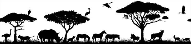 vektor horizontale nahtlose tropische afrikanische savanne mit löwen, zebra, geier, reiher, hyäne, gemeinsame warzenschwein, nashorn, gepard, gazelle, affe, afrikanischen strauß und gekrönten kranich - ostrich ape animal monkey stock-grafiken, -clipart, -cartoons und -symbole