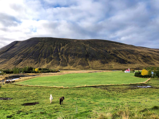 istock Svinavatn, Iceland: Red and White Church and Mountain 1307490996
