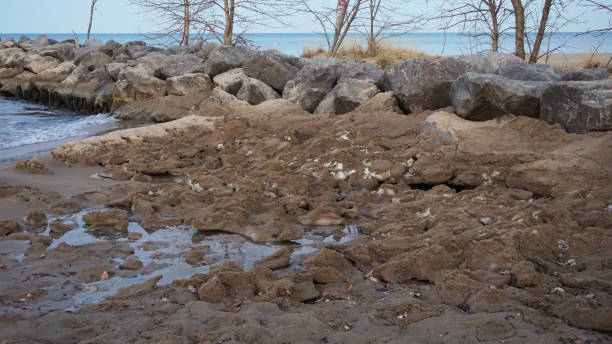 istock Aftermath on Lake Michigan beach after wind storm 1307492078