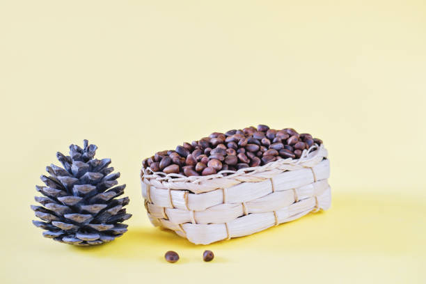 istock unpeeled cedar nuts in wicker basket next to cone on yellow background. rich in unsaturated fats food for brain boost and heart health. raw food for paleo diet. vegetarian meal plan 1307495108