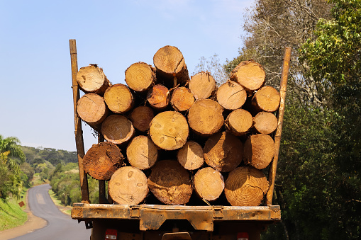 Rear of a carriage truck carrying cut wood, close to the city of guarapuava, southern Brazil.