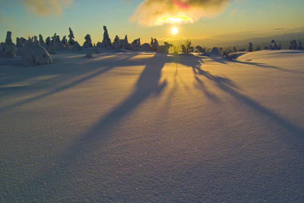istock Snowfield colored by the sunset 1307496140