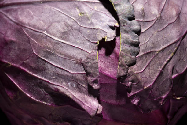 istock Close up of a red cabbage. 1307496357