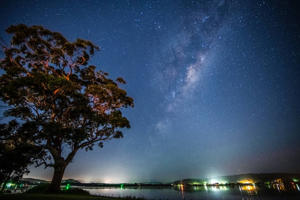 istock Stars and milky way waterscape 1307500767