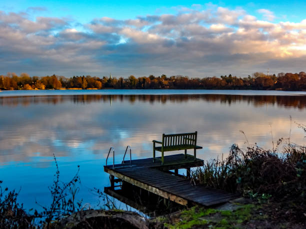 istock Small lake in northern Germany in winter 1307506009